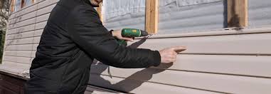 Best Vinyl Siding Installation  in Inglewood, CA